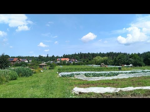 YouTube-Video-Thumbnail