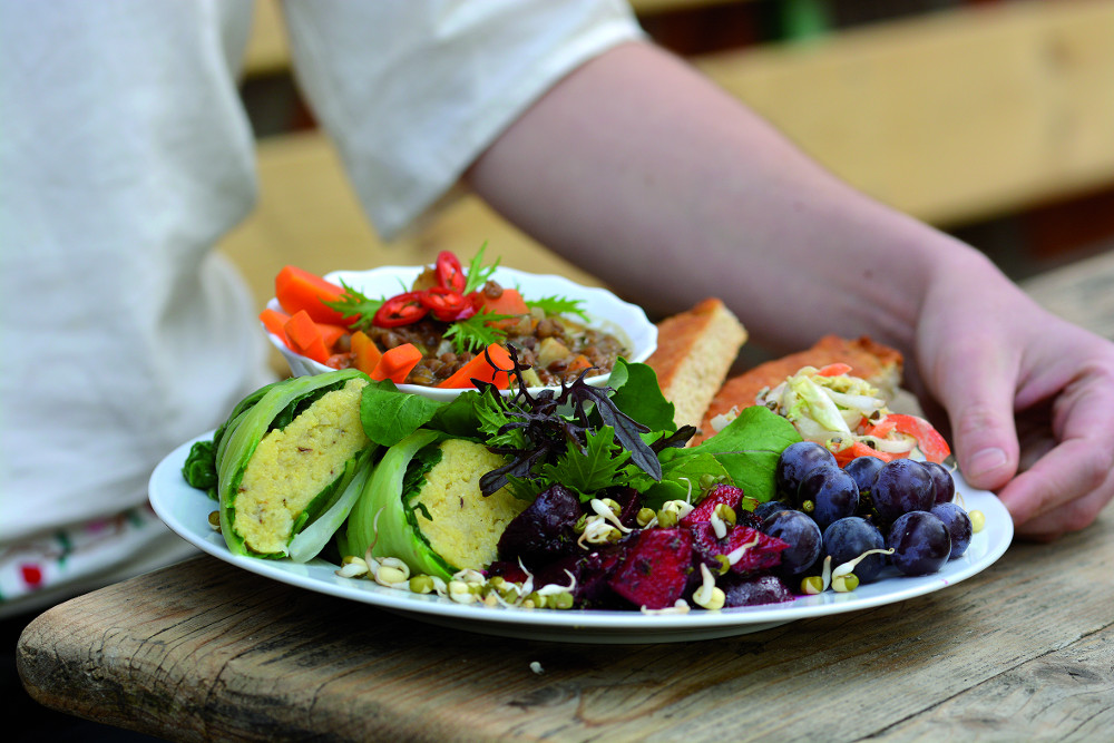 Tagesworkshop Ernährung vor Ort