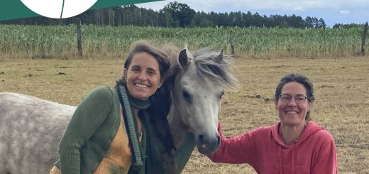 Pferdearbeit in Sieben Linden. Mirjam und Simone mit einem Pferd.