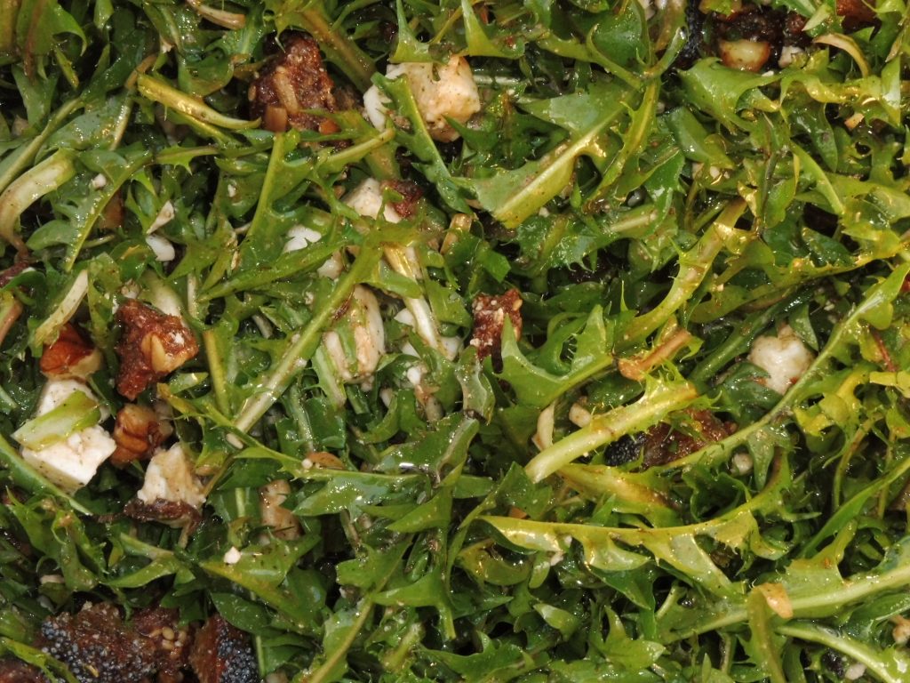 Unser Lieblingsrezept der Saison: Löwenzahnsalat - Ökodorf Sieben Linden