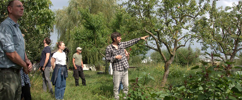 Thomas steht im Garten des Permakulutur-Dorf Sieben Linden und zeigt auf einen Baum während einer Führung.