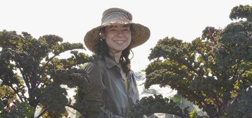 Gärtnerin Lorena hat einen Strohhut auf und steht auf einem Feld zwischen zwei Reihen Grünkohl.