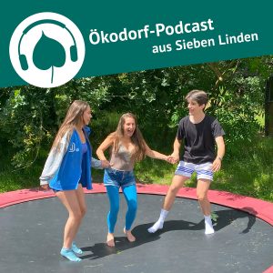 Simone, Mirka und Felix hüpfen aus dem Trampolin und sehen aus als haben sie Spaß