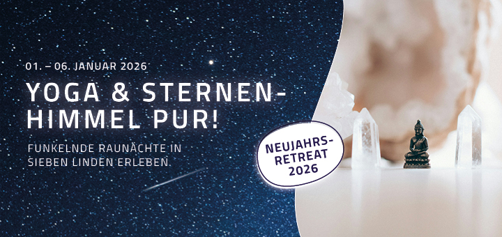 Sternenhimmel und Buddhafigur